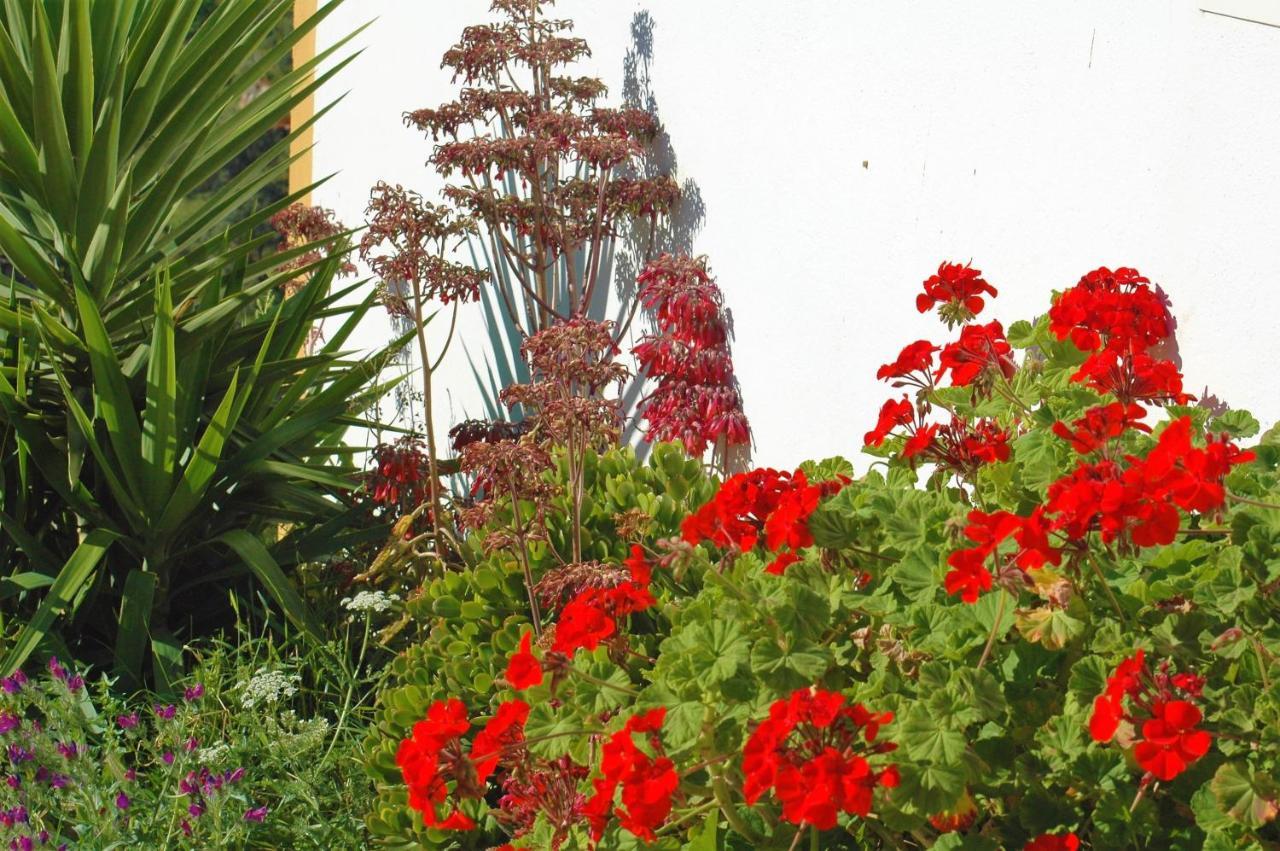 Jingtu Wellness & Spa B&B Comares Esterno foto